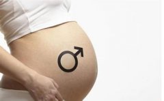 生男生女早知道：从怀孕早期看胎儿性别